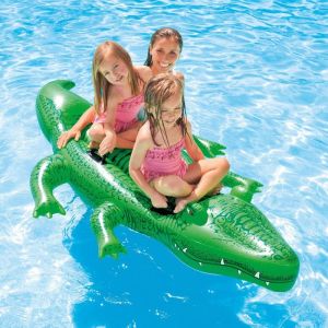 Dual Use Ride-On Float  Swimming Ring
