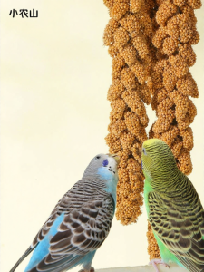 XIAONONGSHAN | Parrot Toy Biting Training Reward Entertainment Small Snacks