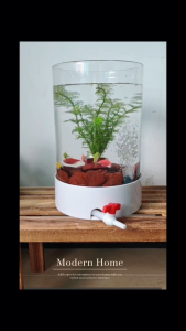 [AquaBox.my]Cylinders Fish Tank | Round fish tank |Aquarium with Air Stone & Hydroponic Plant Basket[Bottom Drain]