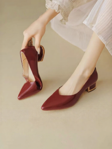 Reemoor | Pointed-Toe Chunky-Heel Work Shoes