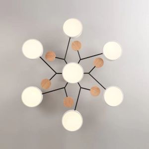 Nordic LED Ceiling Light modern chandelier lamp living room hanging light dining room pendant light