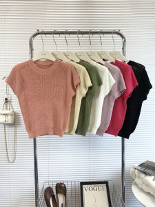 Short Sleeve round Neck Knitted Top Womens Summer Fashionable Base Layer Trendy Solid Color Commute Style Korean Version