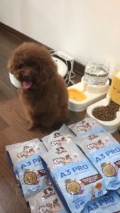 Thức Ăn Cho Chó Hạt Nhỏ YUMI - 2 kg thơm ngon - bổ dưỡng hương vị hoàn hảo