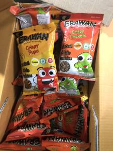 5 รส แมลงทอดดักแด้ทอด(หนอนไหมสุรินทร์) ERAWAN สุรินทร์