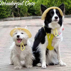 Dog & Cat Sun Hats: A Comprehensive Guide