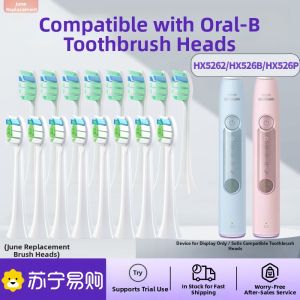 June Initial Philips Diamond 3Pro Electric Toothbrush Head Replacement for HX5262/HX526B/HX526P Deep Cleaning Adult Hardness
