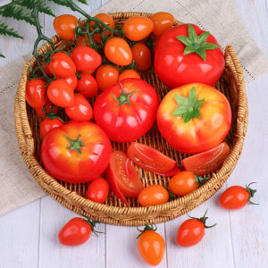 High Simulation Tomato Model Foam