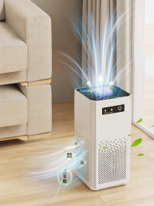 Máy Lọc Không Khí NOCCLILI TC003R Loại Bỏ Mùi Thuốc Lá Mùi Động Vật Chất Formaldehd Khử Mùi Khử Khuẩn Sử Dụng USB