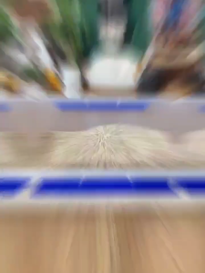 Mixed tofu cat litter clumps in seconds and can be flushed to the toilet bentonite activated carbon milky deodorant 2kg