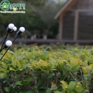 Đèn đom đóm năng lượng mặt trời đèn trang trí sân vườn chậu cây cảnh quan ngoài trời đèn led ngoài trời kháng nước