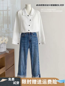 French Style Commute V-Neck Chiffon Shirt Womens Basic Top White Button-Up Loose Fit Long Sleeve Autumn New Arrival