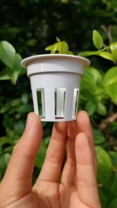 ถ้วยปลูกสีขาว ซ้ำ (เกรด A แบบบาง)