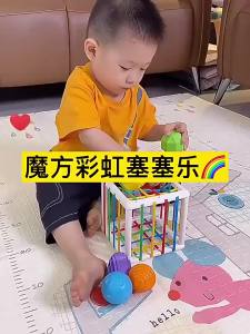 Baby Montessori Toy 2 Years Shape Sorter Toy Sensory Sorting Toys Motor Training Games Kids Educational Toys For Baby 1 -2 Years