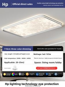 HUIPU ZHAOMING | Eye-protective Stylish Modern Ceiling Light
