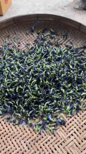 💥❤️‍🔥อัญชันแห้ง200กรัม- 1 kg. เกรดA 🔅ปลอดสารเคมี ปลูกเอง ขายเอง