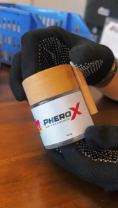 PHERO X AIR FRESHENER - WHITE PEACH ( 50ML CAP KAYU CLEAR )