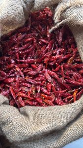 5 KG CABE TEJA KERING /CABE CAPLAK SUPER PEDAS KWALITAS SUPER TANPA TANGKAI