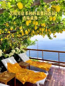 suk garden | Deodorizing Air Freshener Toilet Fragrance