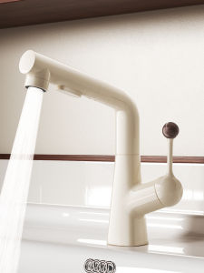 QIANMUYU | Vintage Style Bathroom Sink Dual Function Pull-Down and Adjustable