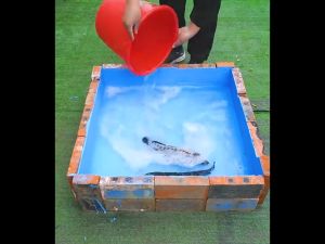 🔥สีทากันรั่วซึม การคืนเงินกรณีรั่วไหล🔥ALLGTool กาวกันน้ำ สีกันน้ำรั่วซึม 1000g อุณหภูมิสูงไม่ละลาย แก้ปัญหาน้ํารั่วซึมของ ผนัง พื้น ระเบียง หลังคา กาวกันรั่วซึม บ่อปลา ราคาขายส่ง กาวกันน้ำรั่วซึม น้ำยากันรั่ว น้ำยากันซึม กาวอุดเรือรั่ว อุดหลังคารั่ว