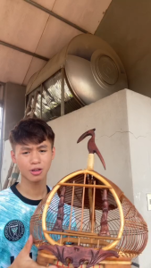 Lồng cu gáy lót da lồng chim cu gáy lót da siêu đẹp tặng kèm phụ kiện