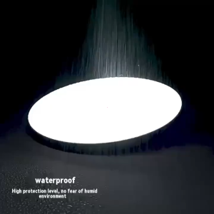 LED Ceiling Light Energy-Saving Ceiling Light for Bedroom Living Room & Kitchen - Soft Natural Glow Eye-Friendly Modern Design Eco-Friendly Home Lighting Fixture