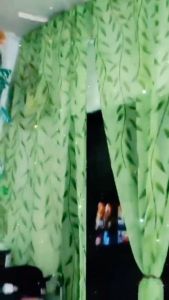 High-end Butterfly Design & Green Mesh Curtain: New Home Decor Trends