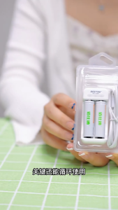 Pin và Bộ Sạc Pin Tiểu Mini AA/AAA Ni-MH Beston C8001 2 Khe Độc Lập Sạc USB-Micro Pin Sạc 1.2V Chống Chập Mạch