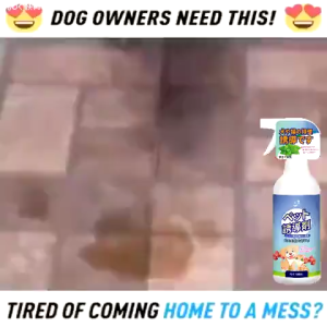 500ml Potty Spray Japan Pet Potty Training Spray Dog Cat Defecation Induced Guided Toilet Training