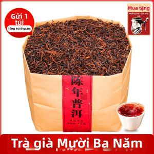 BANZHANGCHUN | Trà Puer Chín Lão Hóa Từ Cây Cổ Thụ Nuo Xiang Yunnan