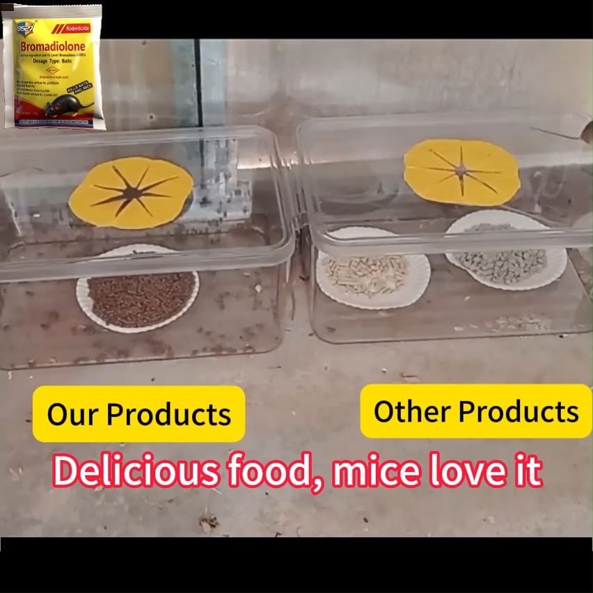 Dont die in the room - Home Rat Killer Poison with Rat Lure That Mice Like to Eat Pellet Trap & Rat Repellent Lason sa Daga Rat Killer for Home Rat Poison Killer Mouse Repellent Mouse Killer pandikit sa daga rat repellent for homerat bait