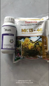 [Blum+ KNO3]-Bộ kích mắt cua lần 1-pha 200l nước-Phun dạ cành và mặt dưới lá