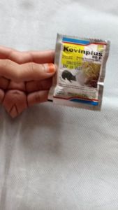 kovinplus racun tikus mati perlahan anti jera terhadap umpan racun tikus kovinplus racun phospidee