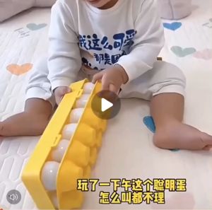 【MQLITTLESHOP】Montessori Egg Shape Matching Toy 12pcs Smart Learning Educational Geometric Colour Sorting Toy STEM Preschool Matching Game Kid Toy Gift DINOSAURS TOY