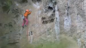 อูปกรณ์ปีนเขา เชือกปีนเขา 14 mm. ยาว 20m/30m / ตัวล็อคเชือกกันตก อูปกรณ์เซฟตี้ สำหรับเชือก 11-16 mm. / เข็มขัดนิรภัยสำหรับปีนเขา ความแข็งแรงสูงกลางแจ้งริบบิ้นโพลีเอสเตอร์ป้องกับครึ่งชูดสายไฟเพื่อปรับปรุงร่างกายสำหรับปีนเขา ปีนเขา เชือก 11-16 mm. เข็มขัดนิ