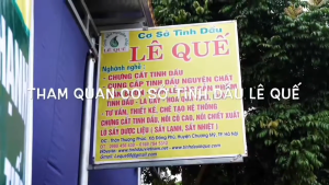 (Lê Quế) Tinh dầu tía tô LÊ GIA (Lê Quế Cũ) Chai 10ml Giúp làm sáng da mờ nám giảm căng thẳng Koshka Home