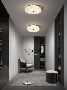 Copper Minimalist Luxury Modern Ceiling Light