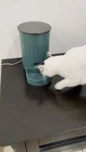 (Ready Stock) Automatic Pet Feeder 3L Pets Cat Dog Smart Control Auto Bekas Makanan Kucing Automatik