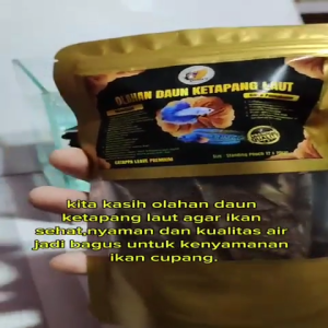 DAUN KETAPANG LAUT HASIL OLAH FERMENTASI KEMASAN KECIL BAGUS DAN WAJIB BUAT IKAN CUPANG DAN CHANA