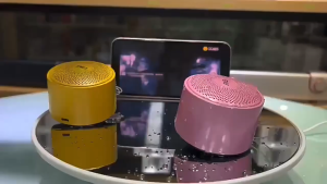 Ewa A124 Bluetooth Speaker ลำโพงบลูทูธ ขนาดเล็กเสียงดัง ลำโพงกันน้ำ