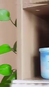 Nexlent Air Freshener: Solid Perfume Fragrance for Home & Car Deodorization