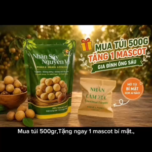 [Gói Gia Đình - Tặng Móc Khoá] Túi 500g Nhãn Xuồng Sấy - Gói Lớn Hơn Khám Phá Gia Đình Ông Sáu Nhãn