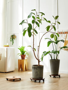 Heavy Duty Rotatable Wooden Plant Stand 1unit