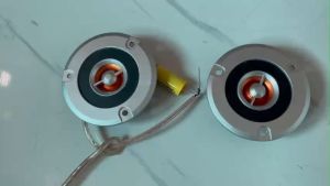 Loa Treble Vega màng Lụa / Titan 10W - 20W hàng nhập tặng kèm tụ