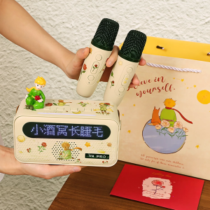 Panpuri | Home KTV Bluetooth Karaoke Microphone All-in-one
