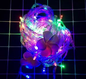 LT-1050P Lampu Hias Tumblr Led / Tumblr Light Decoration 10 M Transparent Murah Import Jakarta [BISA COD]