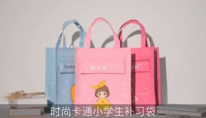 Túi đi học thêm cho bé Topbear học sinh tiểu học chất vải Oxford nhân vật hoạt hình dẽ thương màu sắc đẹp nhiều ngăn có túi ví nhỏ bên ngoài đựng bút TB8014