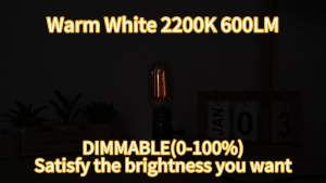 T45/T14 Dimmable E26 Led Tube Edison Light BulbAC120V Warm White 2200K 6W 600LM Amber Type T Light Bulbs for Piano Light BulbCurio Cabinet LampCelling FanSconcePack of 2