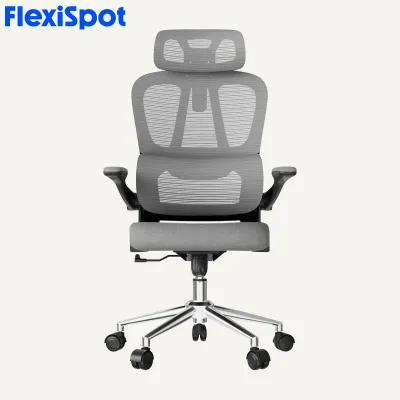 FlexiSpot OC19 LITE Ergonomic Office Chair