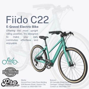 Fiido C22 E-Gravel Electric Bike
